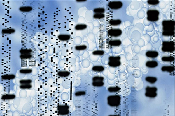 секвенирование ДНК